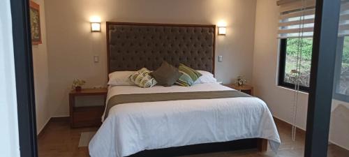 Xicotepec Other | Cabañas y Camping Aroma