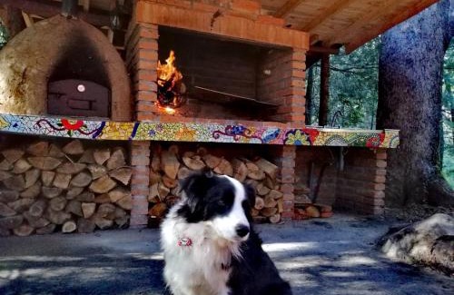 Pinto Ski Chalet | Cabañita del Árbol Cóndor