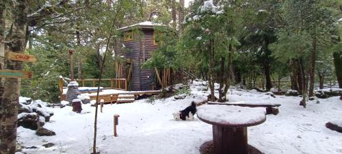 Pinto Ski Chalet | Cabañita del Árbol Cóndor