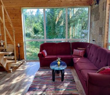 Bulz House | Cabana 7 izvoare