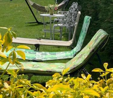 Branistea House | Cabana Casuta din Vis