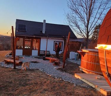 Hoghiz Other | Cabana la gradina