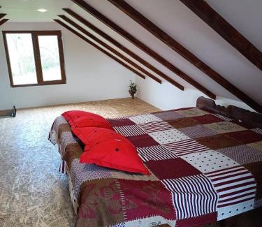 Hoghiz House | Cabana la gradina