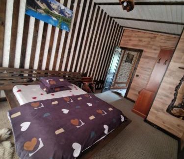 Pianu de Sus House | Cabana Micutu