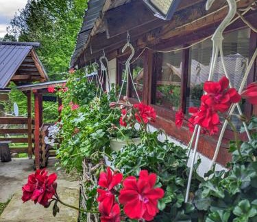 Provita de Sus House | Cabana „Stâna din Deal”