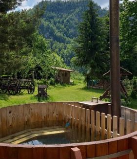 Pietroasa House | Cabana Valea Rea, Boga