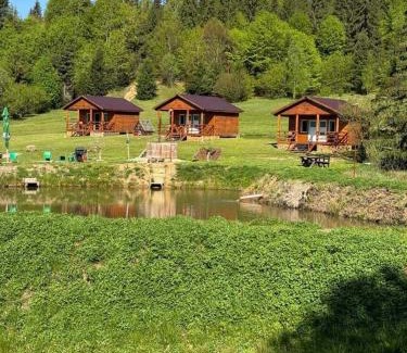 Voslabeni Cabin | Cabane Areama Neagra