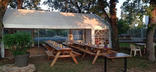 Limogne-en-Quercy Other | CABANE INSOLITE et COCOONING 2 personnes-CAMPING LE BEL AIR- L'ERABLE