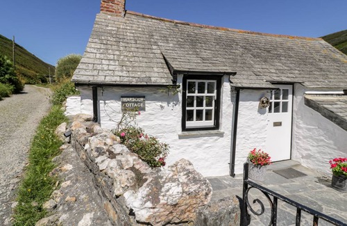 Boscastle Cottage | Cabin ∙ 1 bedroom ∙ 2 guests