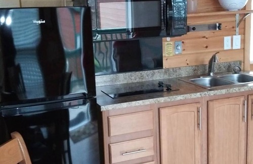 Dickerson Run Cabin | Cabin 5 - Beautiful spacious cabin w/loft and lots of windows! Breathtaking view with facing the river.
