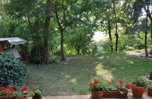 Budaliget Apartment | Cabin in the woods