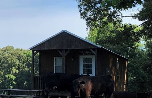 Minden Cabin | Cabin on a Pond