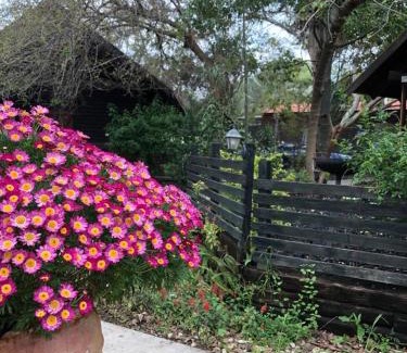 Ramot Bed & Breakfast | Cabin Resort
