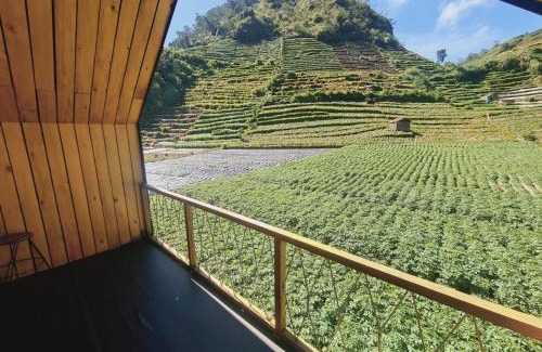 Kejajar Villa | cabin view danau
