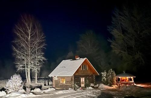 Zemgale House | Cabin with a sauna& pond+a hot Tub(additional fee)