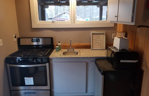 Trumansburg Cabin | Cabin with views of Cayuga Lake and beach access!