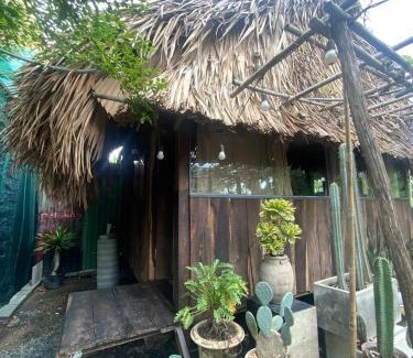 District 12 Bed & Breakfast | Cactos Chill & Homestay