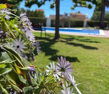 Vinaros Apartment | Cala puntal