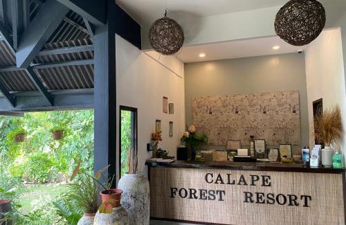 Calape Resort | Calape Forest Resort