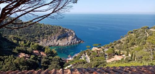 Cala Piccola House | Calapiccola Luxury apartment with the view on Giglio and Giannutri islands