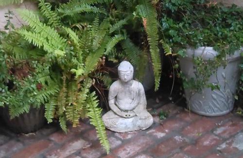 Old Towne House | "California Dreamin'