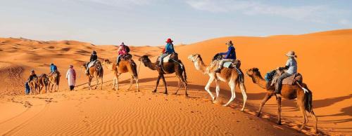 Merzouga Hostel | Camp Abrib merzouga