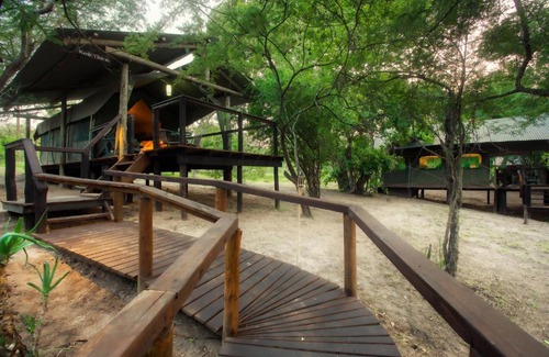 Thorny Bush Game Reserve Other | Camp Bethel