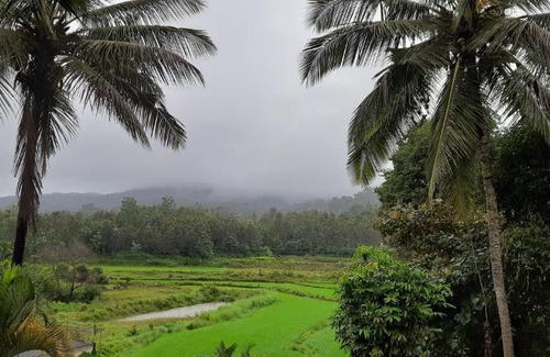 Madikeri Resort | Camp coorg