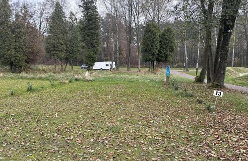 Rybnik Other | Camp Fish