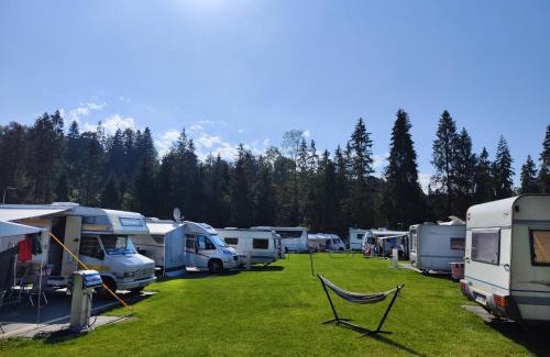 Szaflary Other | Camp Gorący Potok - parcele kamperowe