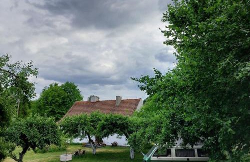 Gledy House | Camp Warmia