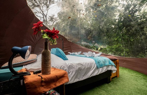 Mindo Other | Camping ∙ 1 bedroom ∙ 2 guests