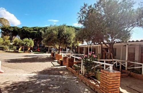 Roccelletta Other | Camping Cammello Grigio