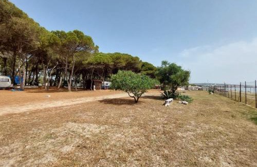 Roccelletta Other | Camping Cammello Grigio