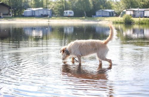 Leeuwarden Other | Camping de Kleine Wielen
