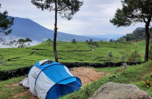 Cibodas Other | Camping Ground Mount Luhur