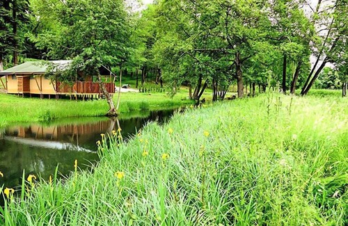 Louvemont House | Camping le Buisson * - Wooden Chalet 3 rooms 4 people