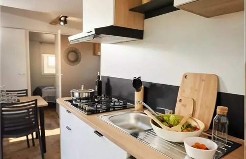 Chatillon-en-Diois House | Camping Le Lac Bleu* - Mobile home Family Premium 3 Rooms 4 People Air-conditioned Lakeside