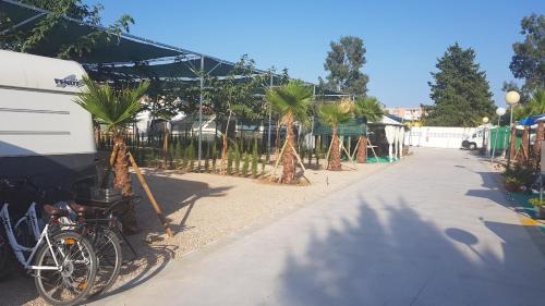 Les Deveses Other | Camping Los Llanos