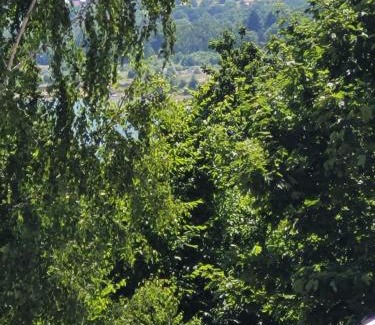 Mucharz Other | Camping Mucharskie