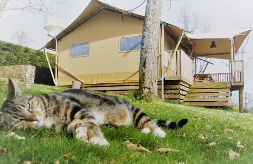 Cassagnabere-Tournas House | Camping Pre Fixed **** - Chalet Tahoe 3 Rooms 5/7 People