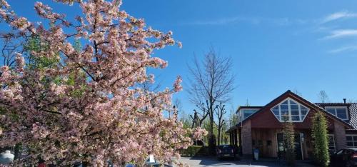 Municipality of Neder-Betuwe Other | Campingpark de Linie