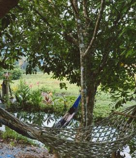 Satun House | Cana Garden House 2
