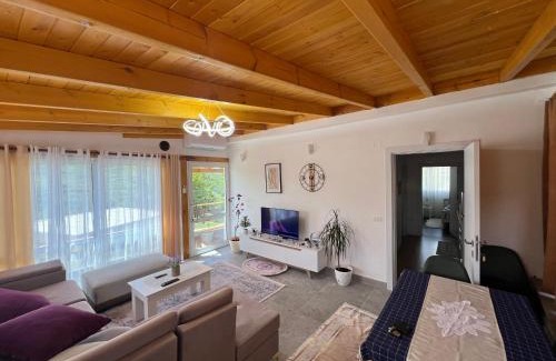 Corovode Apartment | Canyon's house