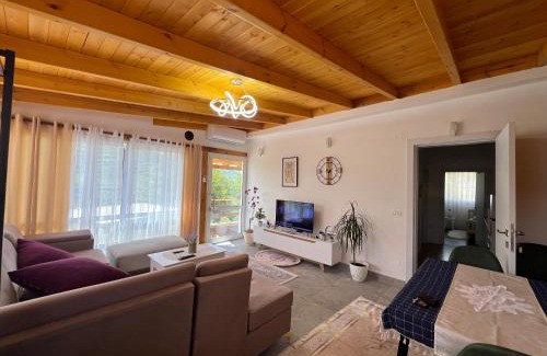 Corovode Apartment | Canyon's house