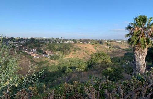 Clairemont House | Canyon View Cutie