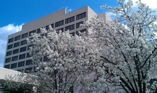 Jefferson City Hotel | Capitol Plaza Hotel Jefferson City