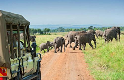 Gitarama Boat Rental | Car rental and driver guide