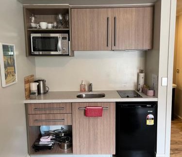 Cardrona Apartment | Cardrona Valley Studio (17)
