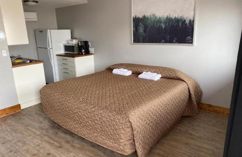 Bancroft Hotel | Caribou Gem